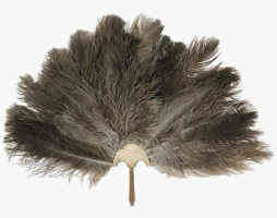 Egyptian Feather Duster