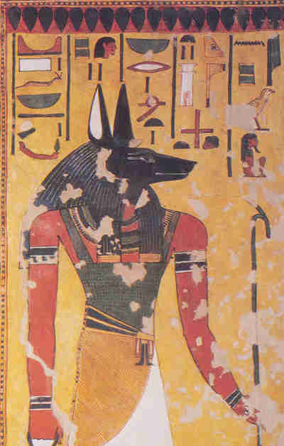 Anubis Nefertari