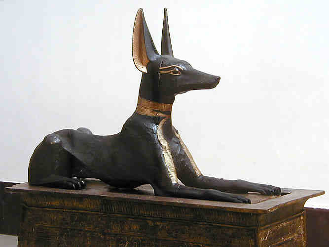 Anubis