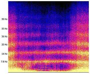 Magnetic Spectrogram Schumann Resonance