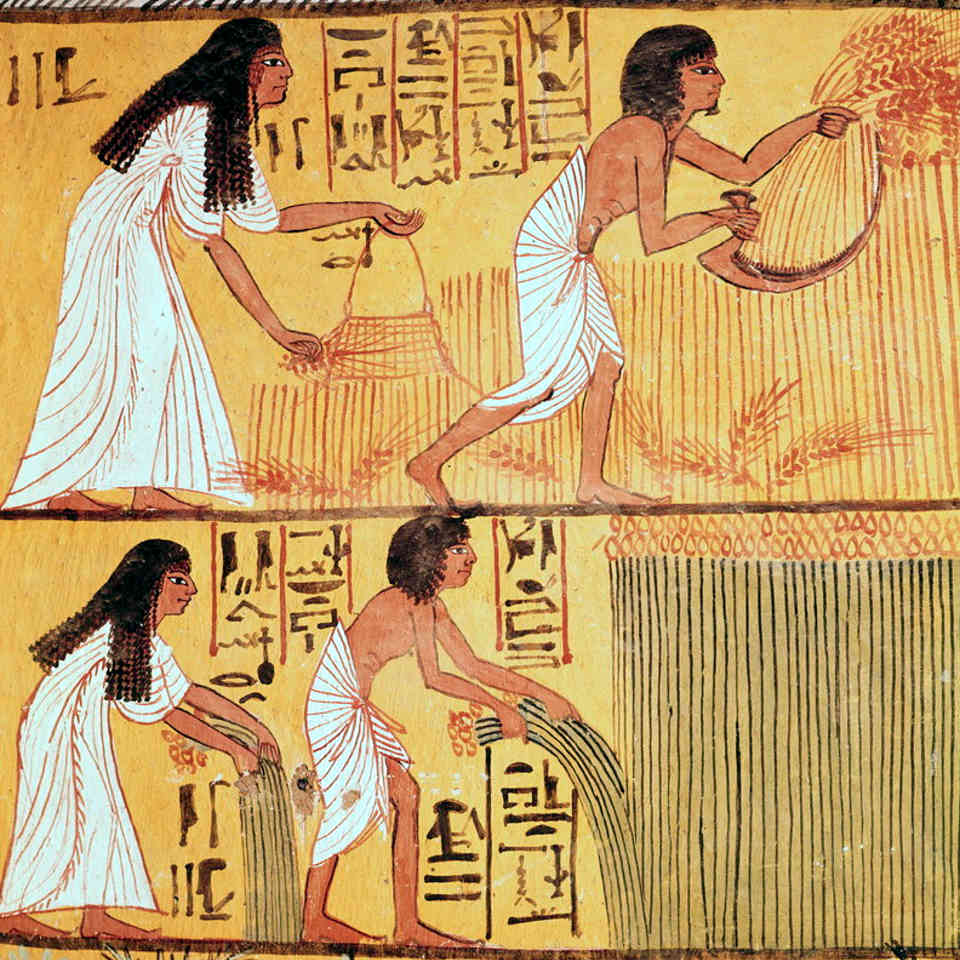 Neper Grain Sennedjem Tomb